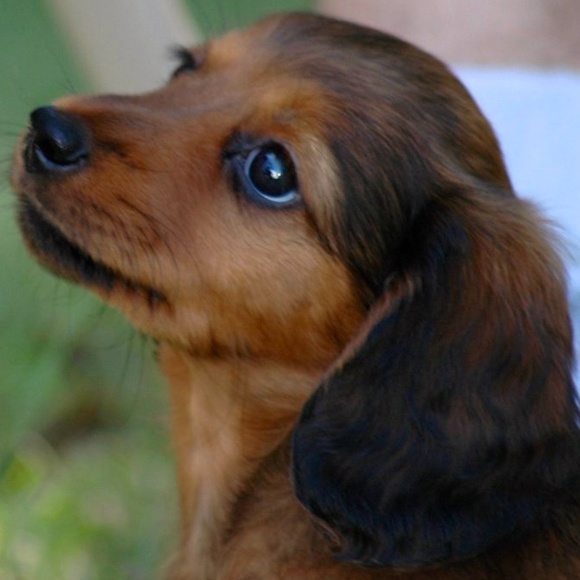 Meet your Posher, Shellee` - Picture 5 of 10